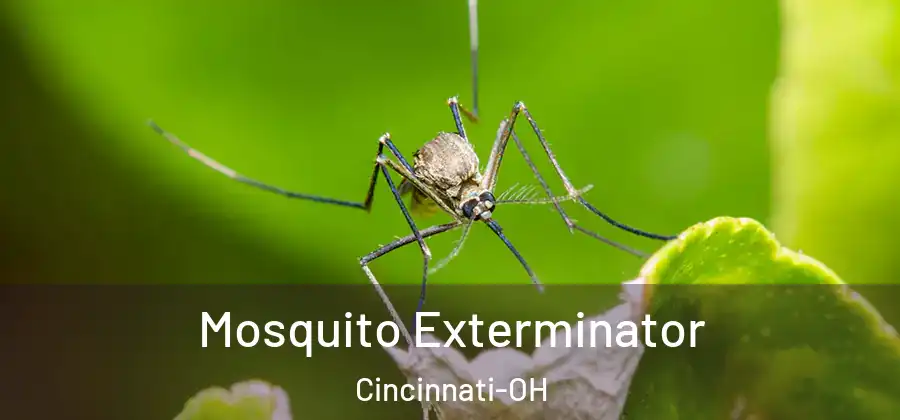Mosquito Exterminator Cincinnati-OH