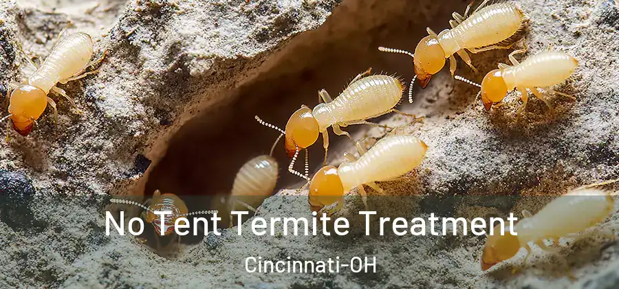 No Tent Termite Treatment Cincinnati-OH