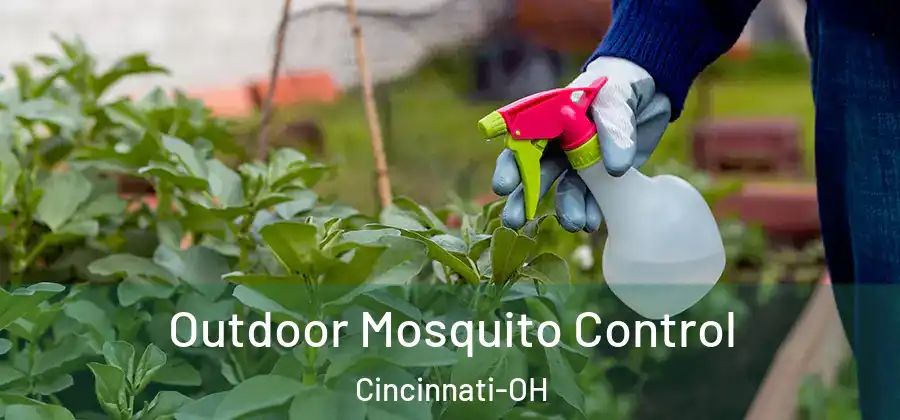 Outdoor Mosquito Control Cincinnati-OH