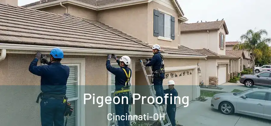 Pigeon Proofing Cincinnati-OH
