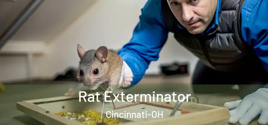 Rat Exterminator Cincinnati-OH