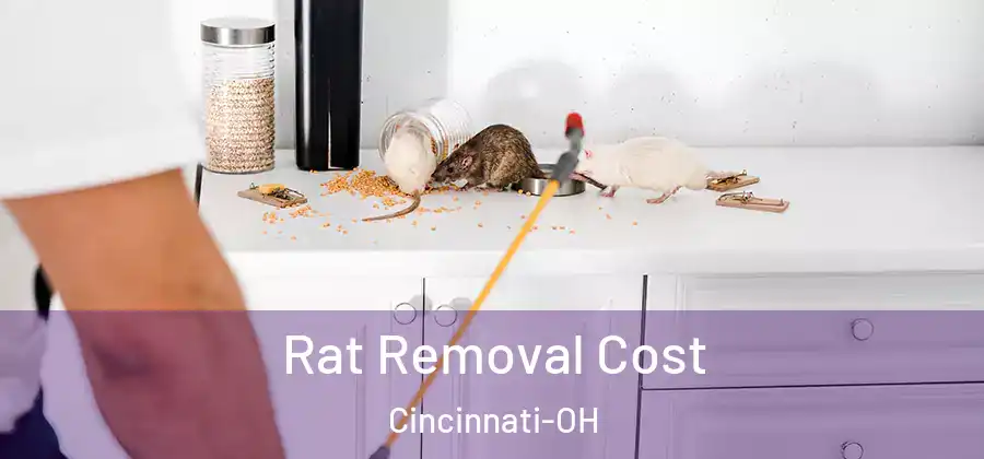 Rat Removal Cost Cincinnati-OH