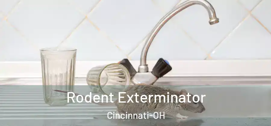  Rodent Exterminator Cincinnati-OH