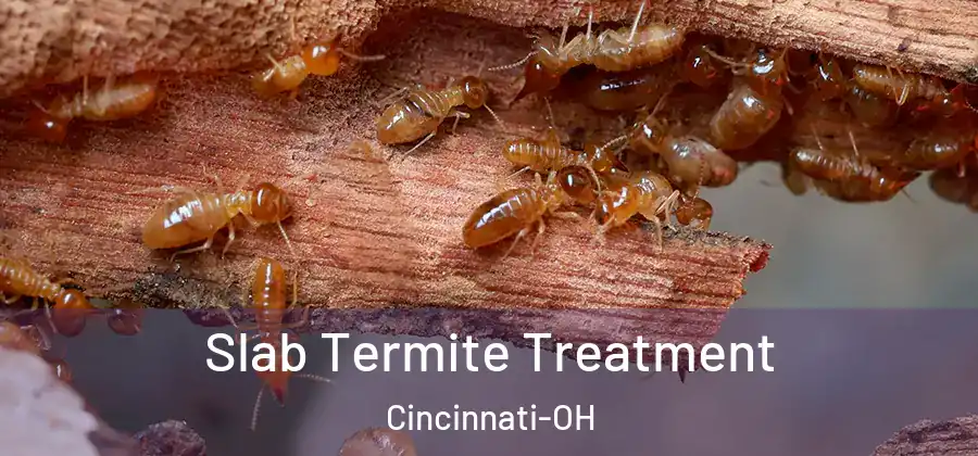 Slab Termite Treatment Cincinnati-OH