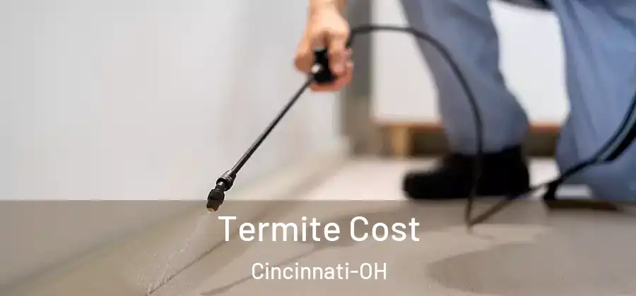  Termite Cost Cincinnati-OH