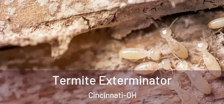  Termite Exterminator Cincinnati-OH
