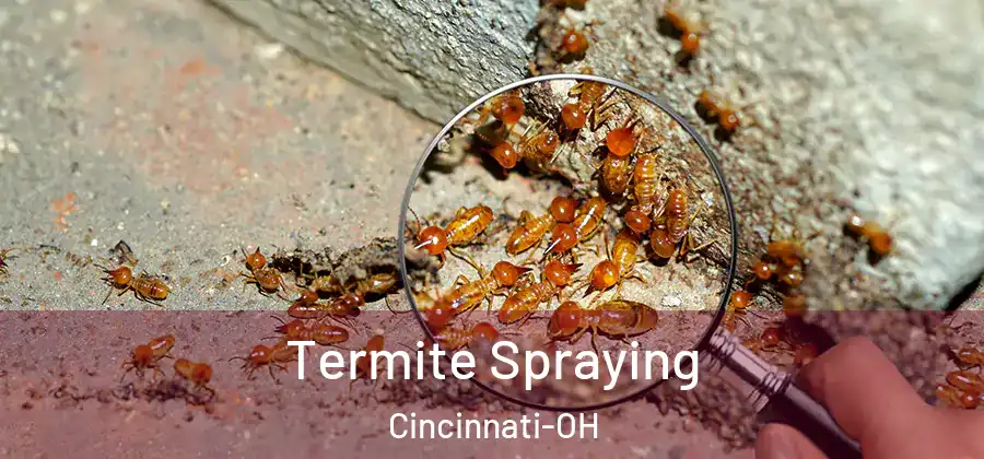 Termite Spraying Cincinnati-OH
