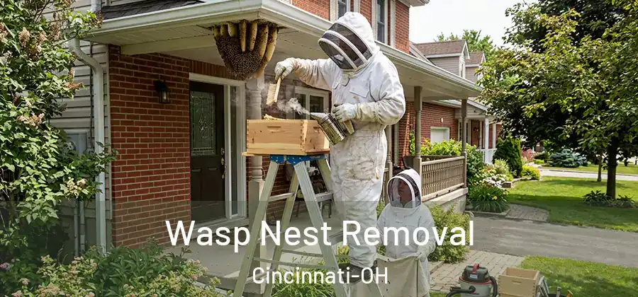 Wasp Nest Removal Cincinnati-OH